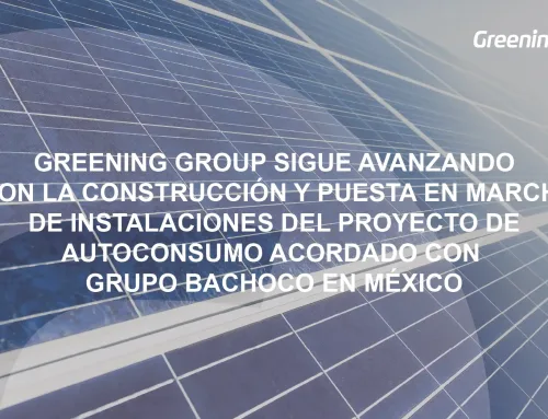 Greening Group sigue avanzando con la construcción y puesta en marcha de instalaciones del proyecto de autoconsumo acordado con Grupo Bachoco en México