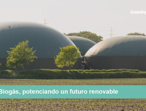 Biogás, potenciando un futuro sostenible